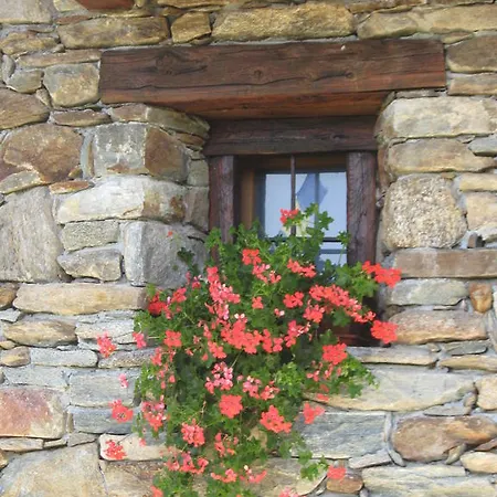 招待所 L'etoile Du Berger